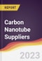 Leadership Quadrant and Strategic Positioning of Carbon Nanotube Suppliers - Product Thumbnail Image