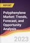 Polyphenylene Market: Trends, Forecast, and Opportunity Analysis - Product Image