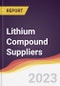 Leadership Quadrant and Strategic Positioning of Lithium Compound Suppliers - Product Image