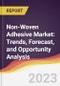 Non-Woven Adhesive Market: Trends, Forecast, and Opportunity Analysis - Product Image