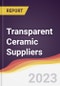Leadership Quadrant and Strategic Positioning of Transparent Ceramic Suppliers - Product Thumbnail Image