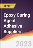 Leadership Quadrant and Strategic Positioning of Epoxy Curing Agent Adhesive Suppliers- Product Image