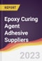 Leadership Quadrant and Strategic Positioning of Epoxy Curing Agent Adhesive Suppliers - Product Thumbnail Image