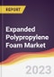 Expanded Polypropylene Foam Market Report: Trends, Forecast and Competitive Analysis - Product Thumbnail Image