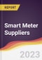 Leadership Quadrant and Strategic Positioning of Smart Meter Suppliers - Product Image