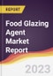 Food Glazing Agent Market Report: Trends, Forecast, and Competitive Analysis - Product Image