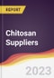 Leadership Quadrant and Strategic Positioning of Chitosan Suppliers - Product Image