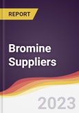Leadership Quadrant and Strategic Positioning of Bromine Suppliers- Product Image