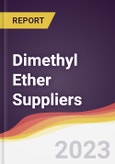 Leadership Quadrant and Strategic Positioning of Dimethyl Ether Suppliers- Product Image