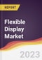 Flexible Display Market Report: Trends, Forecast and Competitive Analysis - Product Thumbnail Image