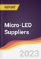 Micro-LED Suppliers Strategic Positioning and Leadership Quadrant - Product Thumbnail Image