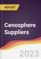 Leadership Quadrant and Strategic Positioning of Cenosphere Suppliers - Product Image