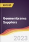 Leadership Quadrant and Strategic Positioning of Geomembranes Suppliers - Product Image