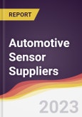 Leadership Quadrant and Strategic Positioning of Automotive Sensor Suppliers- Product Image