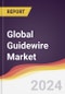 Technology Landscape, Trends and Opportunities in the Global Guidewire Market - Product Image