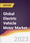 Technology Landscape, Trends and Opportunities in the Global Electric Vehicle Motor Market - Product Image