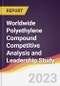 Worldwide Polyethylene Compound Competitive Analysis and Leadership Study - Product Image