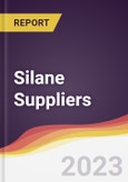 Leadership Quadrant and Strategic Positioning of Silane Suppliers- Product Image