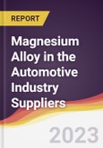 Leadership Quadrant and Strategic Positioning of Magnesium Alloy in the Automotive Industry Suppliers- Product Image