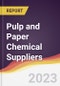 Leadership Quadrant and Strategic Positioning of Pulp and Paper Chemical Suppliers - Product Image