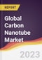 Technology Landscape, Trends and Opportunities in the Global Carbon Nanotube (CNT) Market - Product Image
