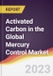 Activated Carbon in the Global Mercury Control Market Report: Trends, Forecast and Competitive Analysis - Product Thumbnail Image