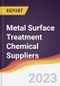 Leadership Quadrant and Strategic Positioning of Metal Surface Treatment Chemical Suppliers - Product Image