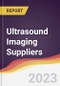 Leadership Quadrant and Strategic Positioning of Ultrasound Imaging Suppliers - Product Image