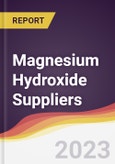 Magnesium Hydroxide Suppliers Strategic Positioning and Leadership Quadrant- Product Image