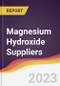 Magnesium Hydroxide Suppliers Strategic Positioning and Leadership Quadrant - Product Image