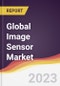 Technology Landscape, Trends and Opportunities in the Global Image Sensor Market - Product Image