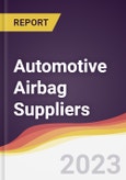Leadership Quadrant and Strategic Positioning of Automotive Airbag Suppliers- Product Image