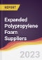 Leadership Quadrant and Strategic Positioning of Expanded Polypropylene (EPP) Foam Suppliers - Product Image