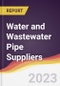 Leadership Quadrant and Strategic Positioning of Water and Wastewater Pipe Suppliers - Product Image