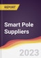 Leadership Quadrant and Strategic Positioning of Smart Pole Suppliers - Product Image