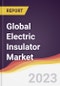 Technology Landscape, Trends and Opportunities in the Global Electric Insulator Market - Product Image