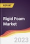Rigid Foam Market Report: Trends, Forecast and Competitive Analysis - Product Image