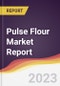 Pulse Flour Market Report: Trends, Forecast, and Competitive Analysis - Product Image