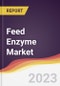 Feed Enzyme Market: Trends, Forecast and Competitive Analysis - Product Image