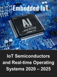 IoT Semiconductors and Real-time Operating Systems: AI Chipsets in IoT and RTOS by Hardware, Components, Processor Type, OS and Industry Vertical 2020 - 2025- Product Image