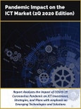 COVID-19 Impact on ICT Industry (2Q 2020 Edition)- Product Image