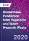Biomethane Production from Vegetable and Water Hyacinth Waste - Product Image