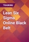 Lean Six Sigma Online Black Belt - Product Thumbnail Image