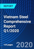 Vietnam Steel Comprehensive Report Q1/2020- Product Image