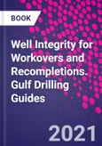 Well Integrity for Workovers and Recompletions. Gulf Drilling Guides- Product Image