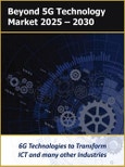 Beyond 5G Technology, Infrastructure, and Devices 2025 - 2030- Product Image
