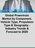 Global Powertrain Market by Component, Vehicle Type, Propulsion Type & Geography - Industry Trends & Forecast to 2025- Product Image