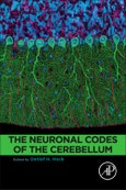 The Neuronal Codes of the Cerebellum- Product Image