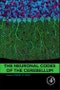 The Neuronal Codes of the Cerebellum - Product Image