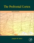 The Prefrontal Cortex. Edition No. 5- Product Image